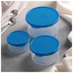 Набор контейнеров пищевых Доляна круглые, 3 шт: 150, 300, 500 мл, синий