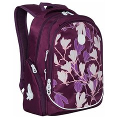 Рюкзак школьный Grizzly RG-067-2 /3 фиолетовый