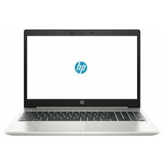 Ноутбук HP ProBook 455 G7 (1L3U0EA), Silver