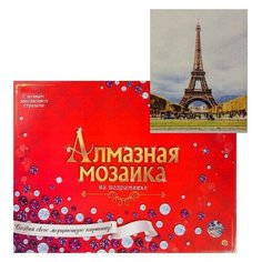 Рыжий кот Алмазная мозаика 30х40 см, с подрамником, с полным заполнением «Достопримечательности Парижа