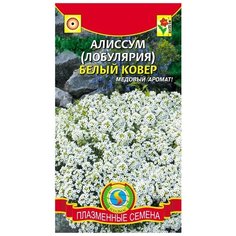 Семена Алиссум "Плазмас" Белый ковер 0,24г