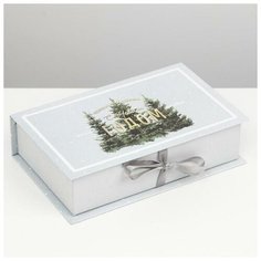 Дарите Счастье Коробка? книга «Новогодняя ночь», 20 ? 12.5 ? 5 см
