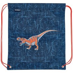 Мешок для обуви Herlitz Boys Дино