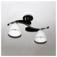 Потолочная люстра 65311.01.13.02 Семь Огней