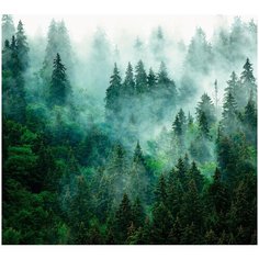 Фотообои Лес в тумане/ Красивые уютные обои на стену в интерьер комнаты/ 3Д расширяющие пространство над кроватью или над столом/ На кухню в спальню детскую зал гостиную прихожую/ размер 300х270см/ Флизелиновые