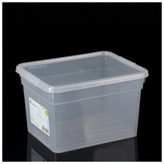 Контейнер для хранения с крышкой 5л Basic 4258776 Fun Box