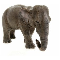 Фигурка Schleich Азиатский слон самка 14654, 13.5 см