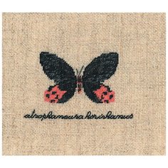 Набор для вышивания Le Bonheur des Dames 3625 Бабочка ATROPHANEURA