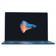 Ноутбук Xiaomi Mi Notebook Pro 14 2021 Intel Core i5 11300H 3100MHz/14/2560x1600/16Gb/512Gb SSD/DVD нет/Intel Iris Xe Graphics 80/Windows 10 Home (JYU4348CN)