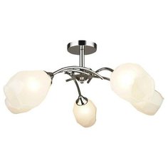 Wedo Light Потолочная люстра Wedo Light Totgnir 66653.01.03.05