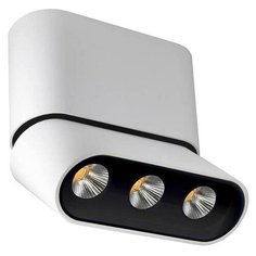 Lumien Hall Светодиодный спот Lumien Hall Фергус 8005/3CS-WT-BK Люмьен Холл