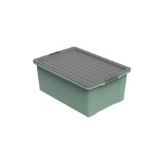 Контейнер 38,0л COMPACT 57*40*25 см Rotho
