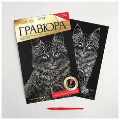 Школа талантов Гравюра «Котёнок мейн- кун» с металлическим эффектом «золото» А4