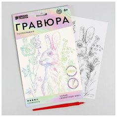 Школа талантов Гравюра «Кролик на лугу» A5, с металлическим эффектом «голография