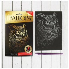 Школа талантов Гравюра «Сова» с металлическим эффектом «золото», 13х19 см