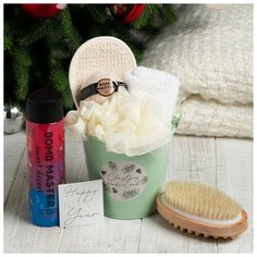 Этель Набор подарочный Этель Christmas wonderland полотенце 30х60см и аксс (6 предм)