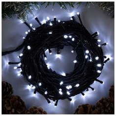 Luazon Lighting Гирлянда "Нить" 10 м , IP44, УМС, тёмная нить, 100 LED, свечение белое, 220 В