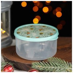 Доляна Контейнер пищевой Доляна «Шишки», 500 мл, круглый, цвет бирюзовый