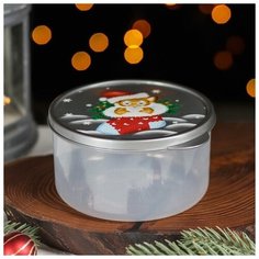 Доляна Контейнер пищевой Доляна «Тигр в носке», 500 мл, круглый, цвет серый