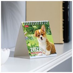 Hatber Календарь настольный, домик "Щеночки" 10х10 см, 2022 год