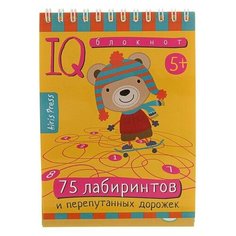 Айрис-пресс Умный блокнот «75 лабиринтов»