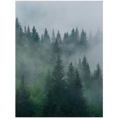Фотообои Туман над лесом/ Красивые уютные обои на стену в интерьер комнаты/ 3Д расширяющие пространство над кроватью или над столом/ На кухню в спальню детскую зал гостиную прихожую/ размер 200х270см/ Флизелиновые