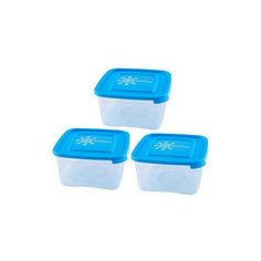 Комплект контейнеров для замораживания продуктов "Морозко", 1 литр (3 штуки) Полимербыт