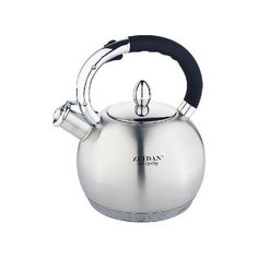 Чайник из нержавеющей стали Zeidan Z-4160 3,2 л (серебристый)