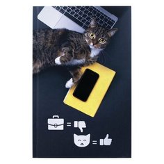 Блокнот 80л, А5 Staff "Милый котик", клетка, твердый переплет, 10шт. (111603)