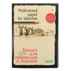 Папка для эскизов и набросков Альт Professional paper for sketches 29.7 х 21 см (A4), 100 г/м², 20 л.
