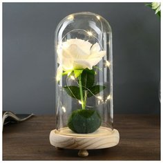 Лампа настольная Risalux "Роза белая", LED, 3ААА, 10*10*20 см