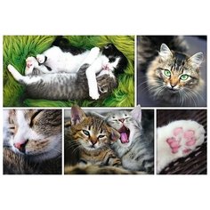Пазл Trefl 1500 деталей: Кошки-коллаж