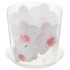 Кашпо Idea "Деко", с подставкой, цвет: прозрачный, белый, 2,4 л