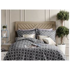 Постельное белье Simple Living 1,5 спальное. 160X220 Dany Arya