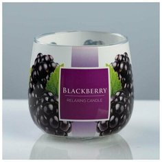 Свеча ароматизированная в стекле "Ежевика", 8×7,2 см 5168716 RAK Trend Decor Candle