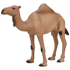 Фигурка Mojo Wildlife Одногорбый верблюд 387113, 12 см