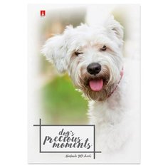 Блокнот Альт, А7 (68 х 101мм), "щеночки" 40 л., Арт. 3-40-107, обложка в ассортименте