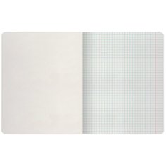 Тетрадь школьная Альт, А5 (165 х 203 мм), "люкс" 24 л. клетка, Арт. 7-24-333/1, Набор 10 шт. Цена за 10 шт.