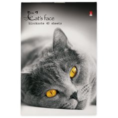 Блокнот Альт, А6 (94 х 130 мм), "котики" 40 л., Арт. 3-40-110, обложка в ассортименте