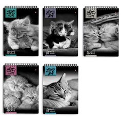 Блокнот Альт, А5 (127 х 202 мм), "кошки" 40 л., Арт. 3-40-462, обложка в ассортименте