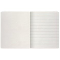 Тетрадь школьная 12 листов Альт, А5 (165 х 203 мм), "котомания" 12 л., линейка, Арт. 7-12-295/2, обложка в ассортименте