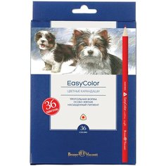 Карандаши цветные " EASYCOLOR ", 36 цветов Bruno Visconti