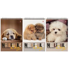 Блокнот Альт, А5 (127 х 202 мм), "собаки" 40 л., Арт. 3-40-509, обложка в ассортименте