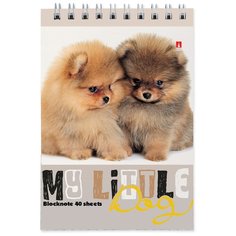 Блокнот Альт, А6 (94 х 132 мм), "собаки" 40 л Арт. 3-40-297, обложка в ассортименте