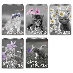 Блокнот Альт, А6 (94 х 132 мм), "котята" 40 л., Арт. 3-40-028, обложка в ассортименте