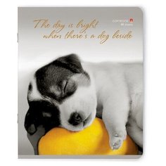 Тетради 48 листов "щенки.контрасты NEW " Набор 5 шт. Цена за 5 штук. Альт