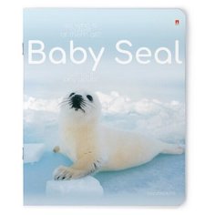 Тетрадь 48 листов "малыш белёк" 5 видов. Набор 5 шт. Альт