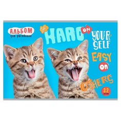 ТМ"Profit"Альбом для рисов. А4 32л. Очумелые котята (32-1574) скр. облофсбл- офс. Проф Пресс