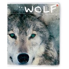 Тетради 48 листов "загадочные волки NEW". Цены за 5 штук. Альт