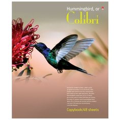 Тетради 48 листов серия "Фауна. Птицы". Набор 5 шт. Цена за 5 штук. Альт